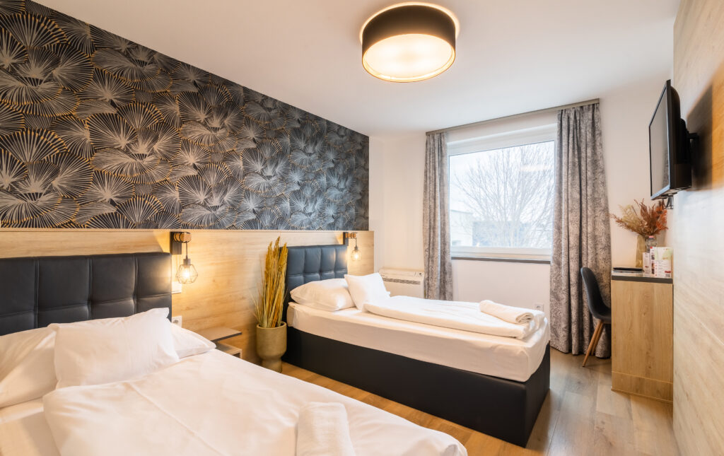 CAMERA STANDARD, wifi, parcare, baie, TV Pat twin Hotel Hegyeshalom